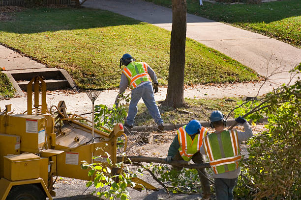 Best Utility Line Clearance  in Inola, OK