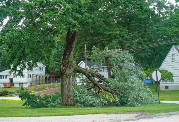 Best Tree and Shrub Care  in Inola, OK